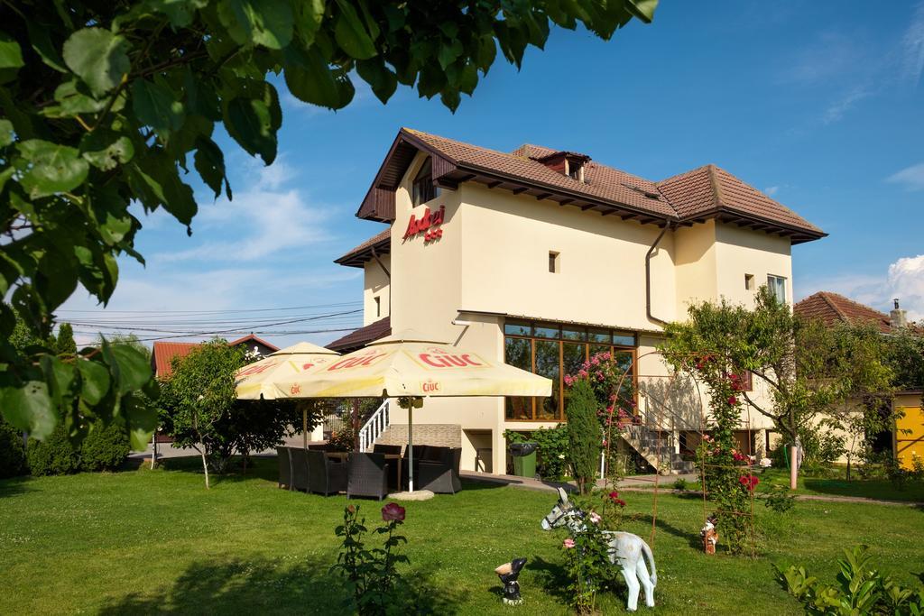 Pensiunea Andrei Rm Valcea Râmnicu Vâlcea Kültér fotó
